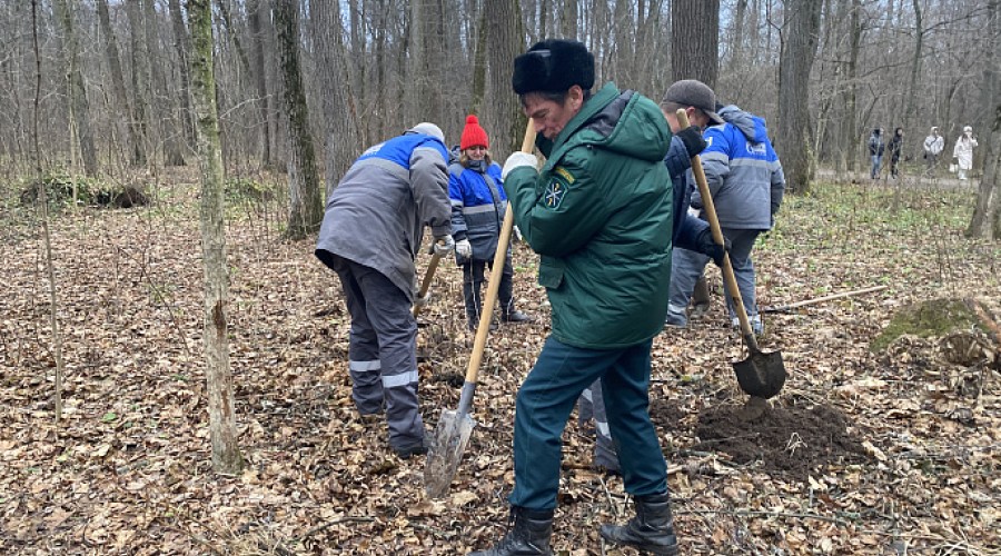 В Ясной Поляне прошла экологическая акция по посадке деревьев