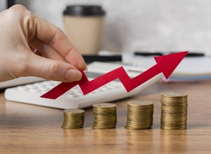На повышение цен в Тульской области повлияла инфляция в 9,14%