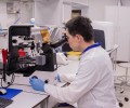 В МГУ началось испытание лекарства для лечения мужского бесплодия