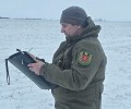 В Тульской области подсчитали всех диких животных