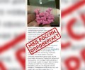 Полиция сообщила тулякам о фейке про «клубничный квик» в школах