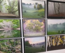 Фотовыставка «Зачарованный лес» открылась в Туле