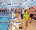 Соревнования по плаванию «Тула-Мастерс» прошли в Ленинском