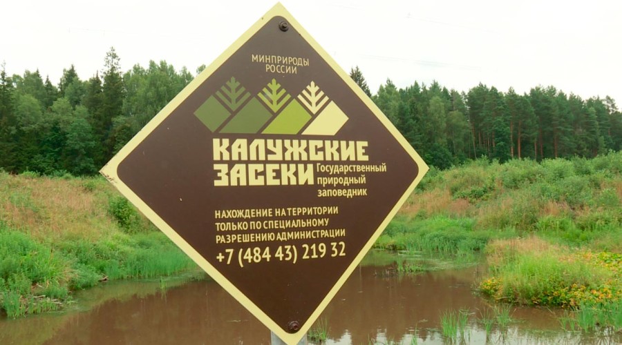 В заповедник «Калужские засеки» требуются волонтёры