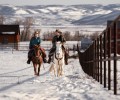 Чем заняться в Туле парам 14 февраля