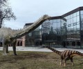 В Туле сняли документальный фильм о «Песковских динозаврах»