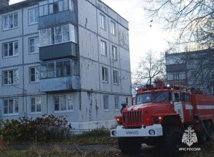 В Куркино в пожаре заживо сгорел мужчина 