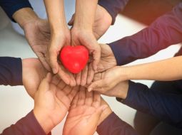 Group,Of,Hands,Holding,Red,Heart,,Health,Care,,Love,,Organ